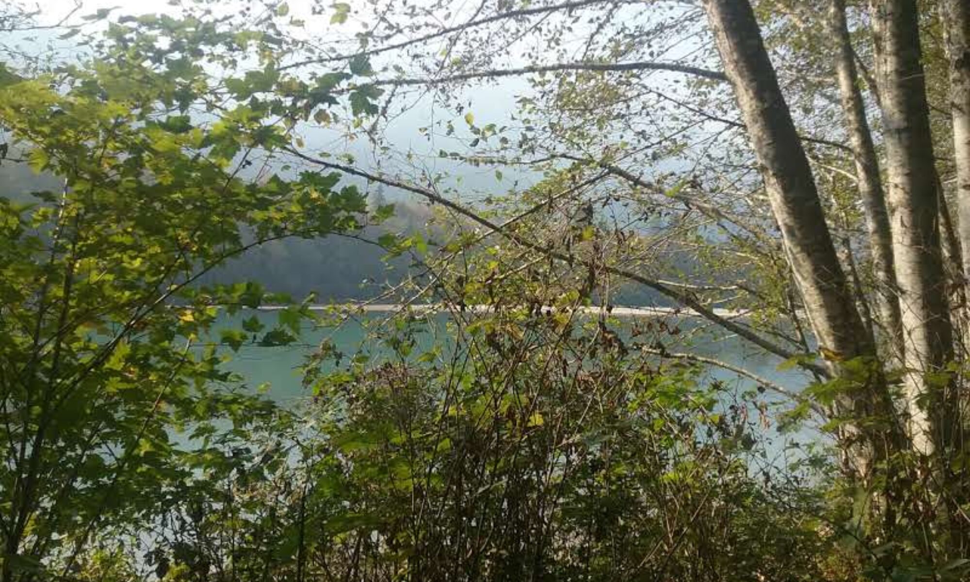 111 West :: Creative Retail 